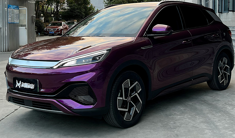 Violet Raisin Nacré